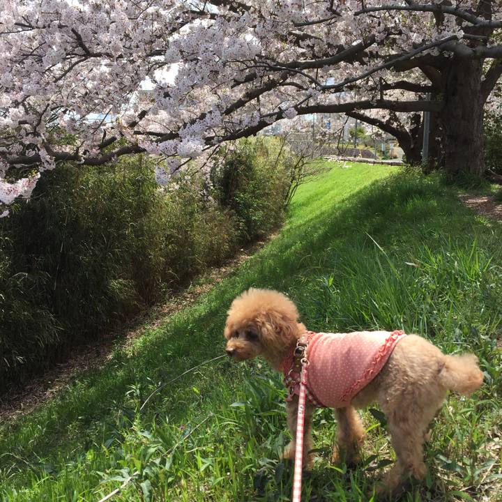 8febc02d 8e04 42ae 953a b46d5c452e5d