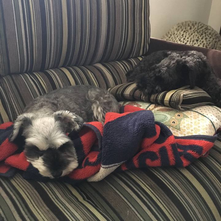 8febe615 22fd 4122 b2df 82d68eb78631