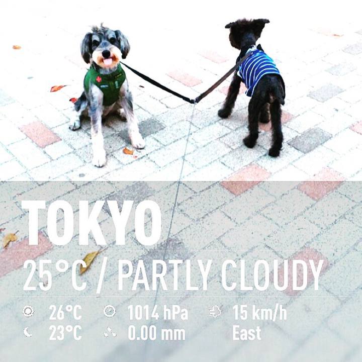 8fec23c1 137b 42f1 9aa3 bbd5b92a62ed