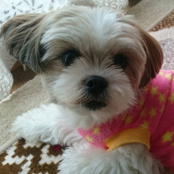 8fec4d57 a272 4a73 9b5a 575a526402ac