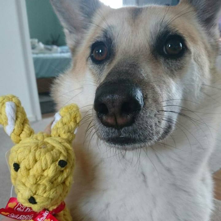 8fec9635 cebe 4267 9a2d a38f5eecb356