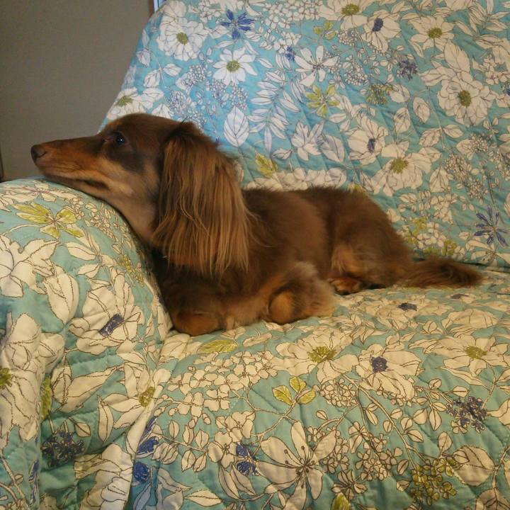 8fecdf24 005f 43f4 aa15 2321b6bde27e