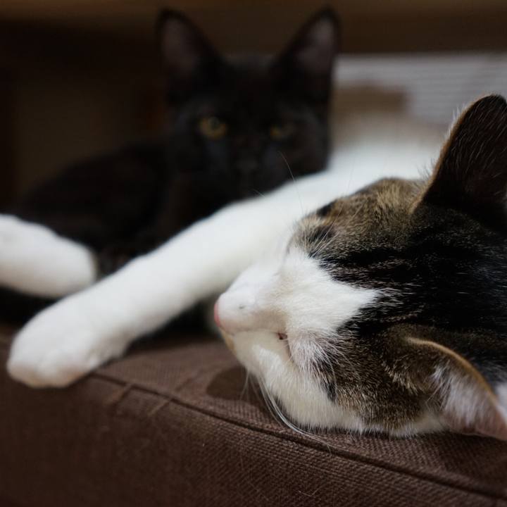 8fed1876 307c 4593 b0b2 75fc9fa924c3