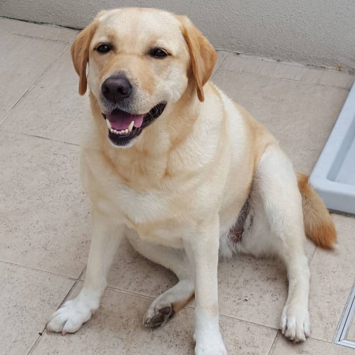 8fed8ab7 fbc2 4aa2 85ec 3963a60212fd