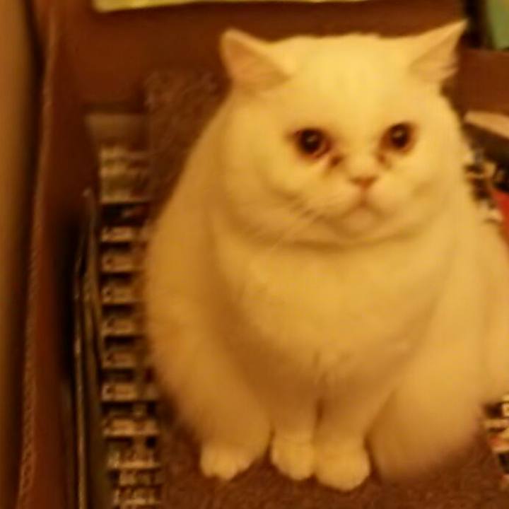 8fed9f89 e2a1 44a1 bbff f227b1530026