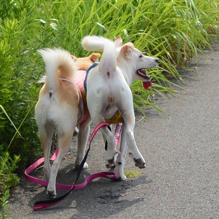 8fedc1c7 2efe 4633 ad85 2043e981c06d