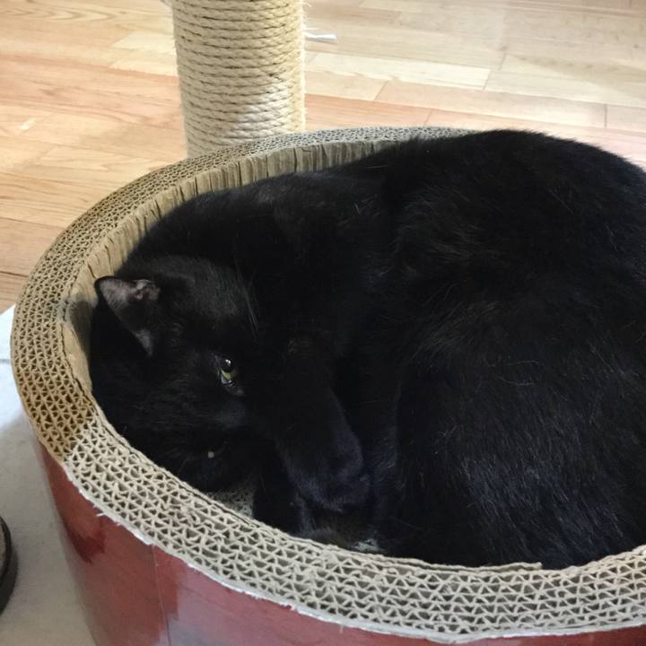 8fede9dc e0fd 4207 9bc4 39a7b02c6d67