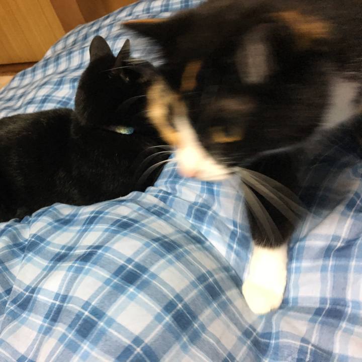 8fedf06a 87b8 454e a3a2 a108bc5ef648