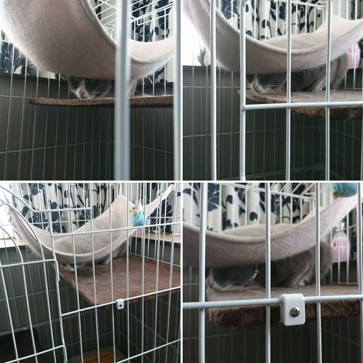 8fedf2b1 419c 4362 a706 8bade863d323