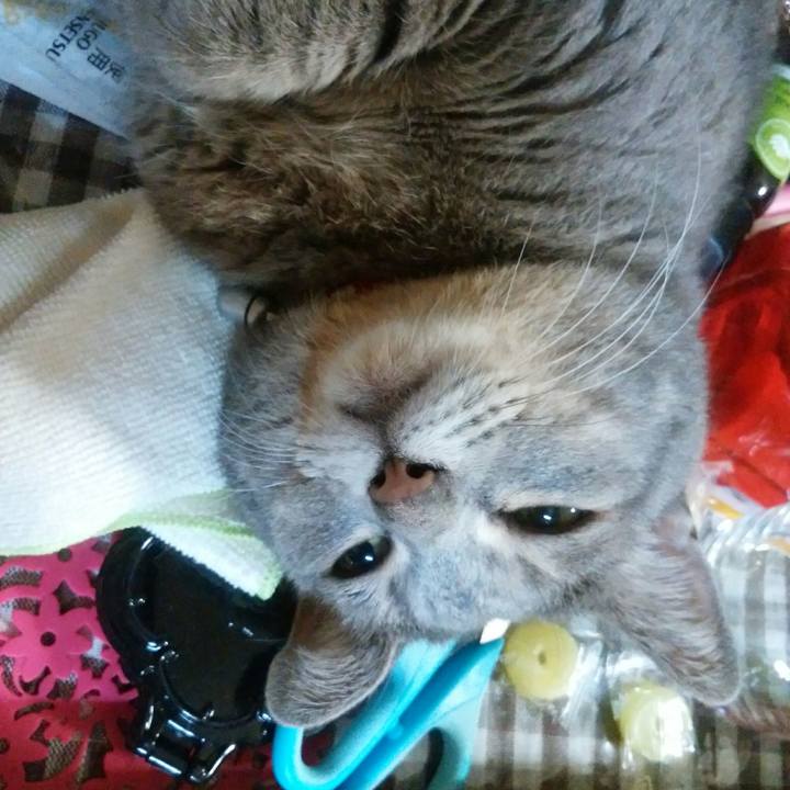 8fee8d16 b3a1 4e1b 8601 4a60961a955f