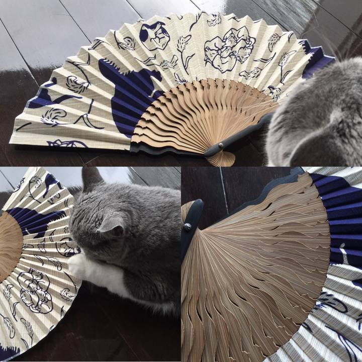 8fef345d 59a9 46d3 a223 956f821cb925