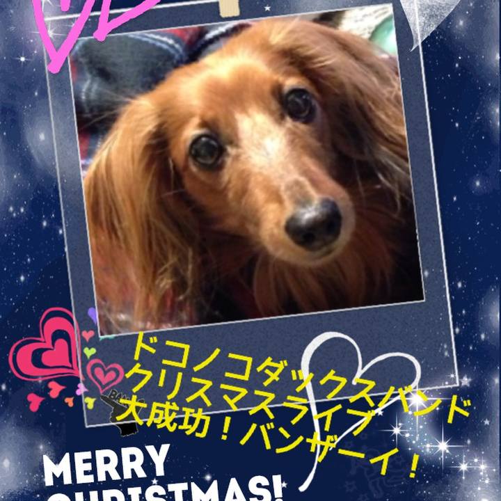 8fef479d 56f7 4c5b bd1f 902d969f56ff