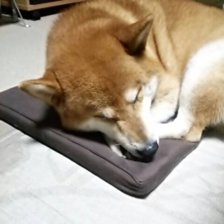 8fef54e3 5c58 4733 983c bf859e4e0f74