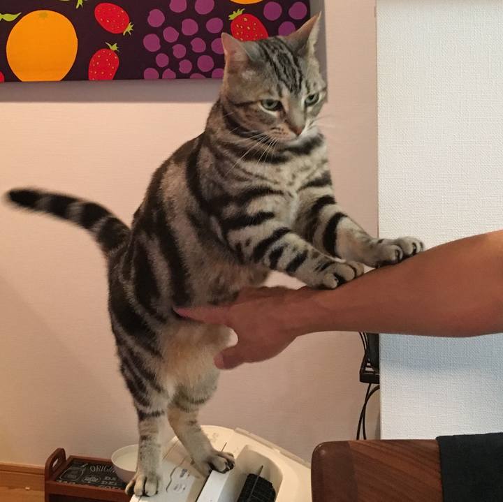 8fef6abb c610 4f53 95c0 8b18dd364fb7