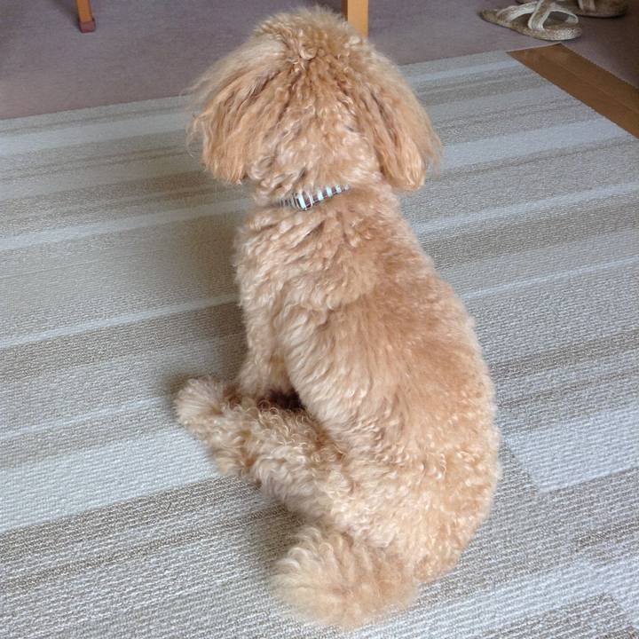 8fefb026 c1cb 498f a065 ab29dc49d554