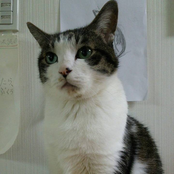 8fefbc14 05ff 47d3 b52a e54106e93a13