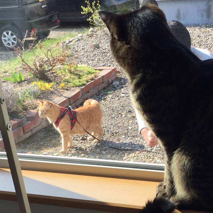 8fefd1ce 6d93 4340 a100 948ee6c71c19