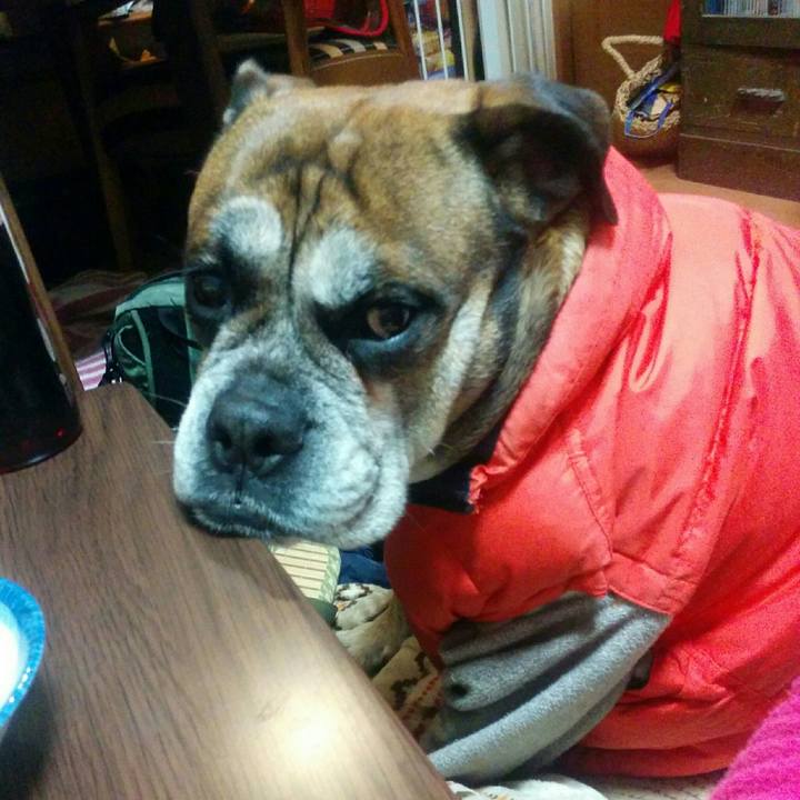 8ff03bbe c28e 4e56 a0ad 5454abc6baca