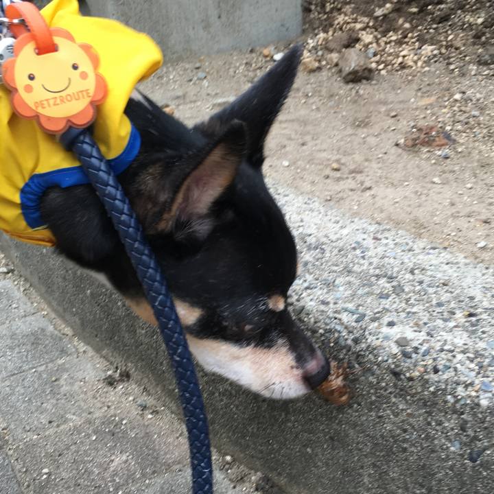 8ff0aca2 e093 4ff0 b09a 8c0162499dac