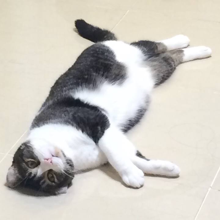 8ff0e846 fc9d 4812 ad26 34039fb09398