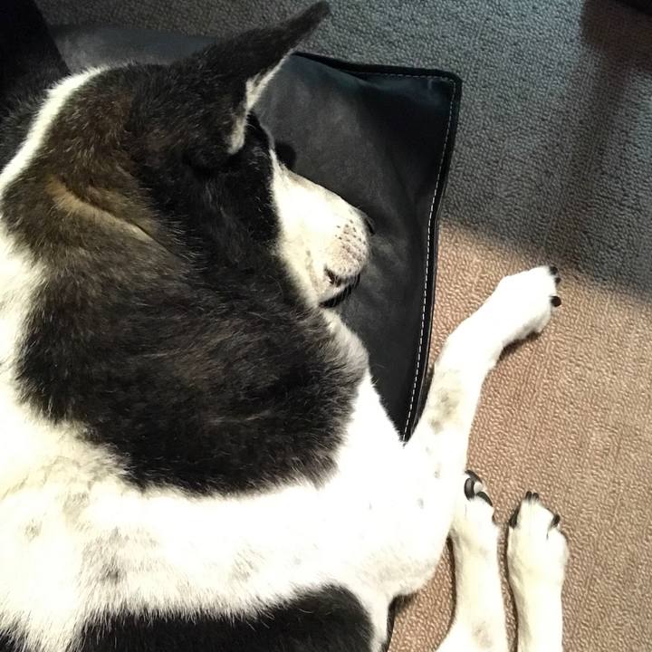 8ff11a98 c06b 4642 adae c6b6f42fc805