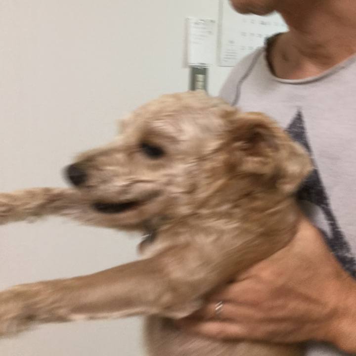 8ff13445 4db2 47dd 9dae c1cf85117ab6