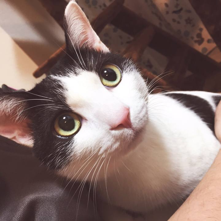 8ff18768 af75 45a9 b23b 27389e653b10