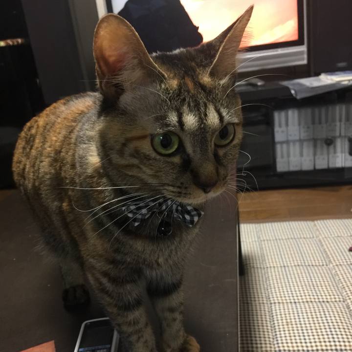 8ff32bef 539d 4890 89a5 c0649fe286ee