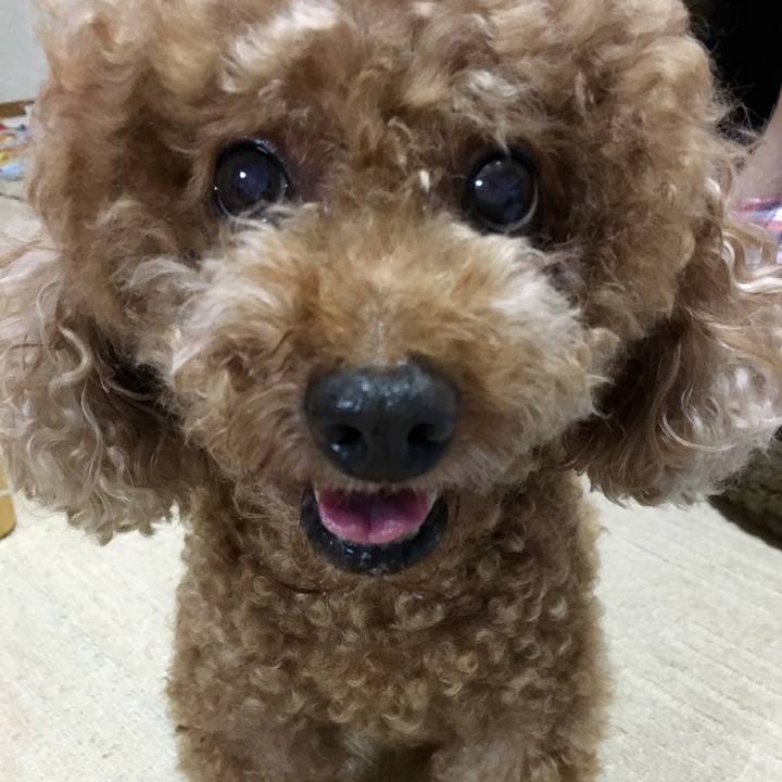 8ff349fc eda5 4320 b7f3 9a1d076e66bd