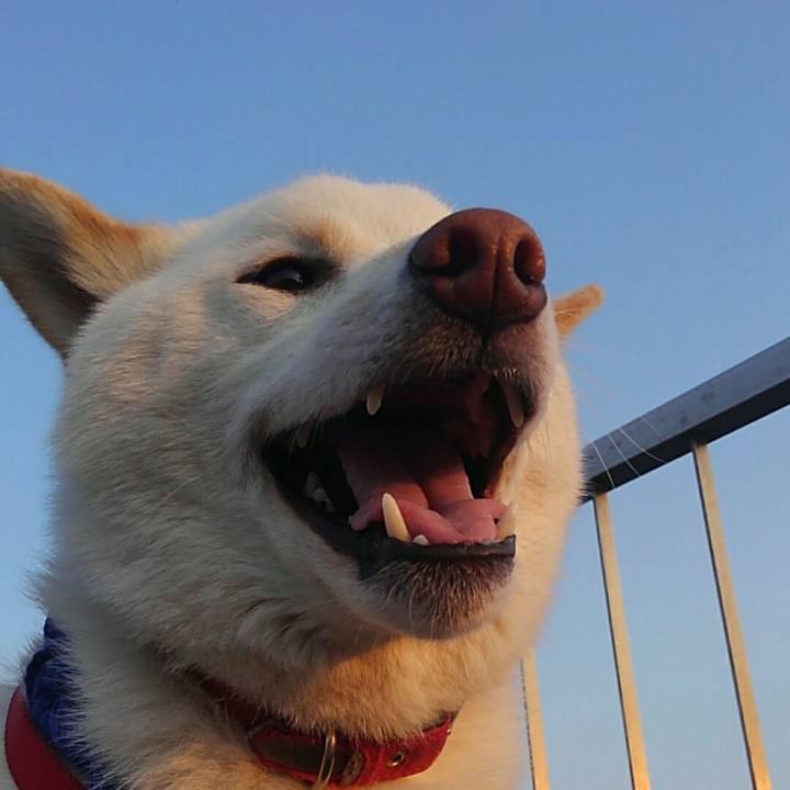 8ff3eb2c 2293 45f5 aa87 7cb9916f7889