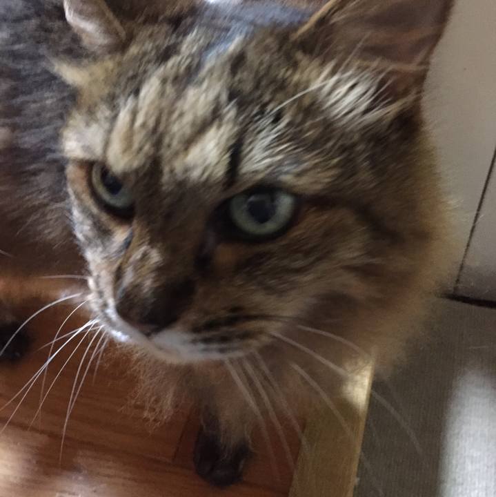 8ff42b12 994a 4892 a3ec 5015a5ae392e