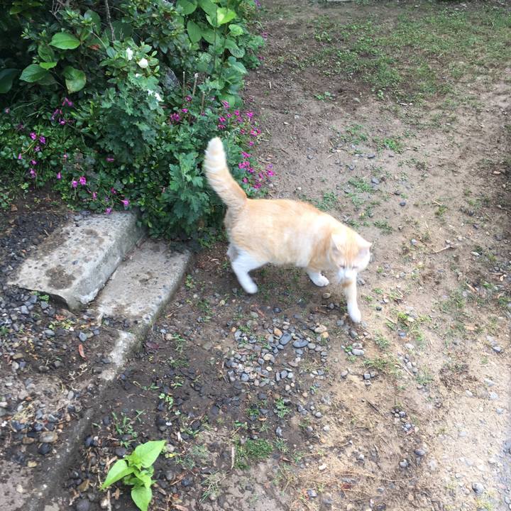 8ff434d4 ca28 4dd1 8cda b321507a8420