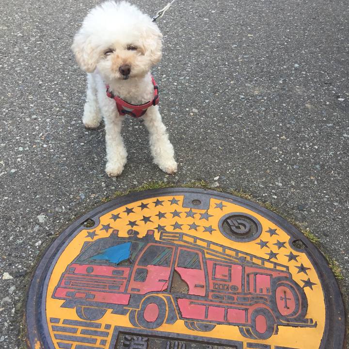 8ff4f086 112c 440f b687 ac1ae357da50