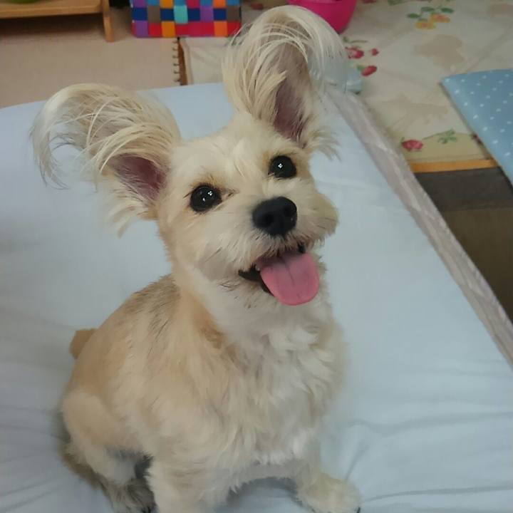 8ff54020 6cd3 4366 9fec 4bd60091816f