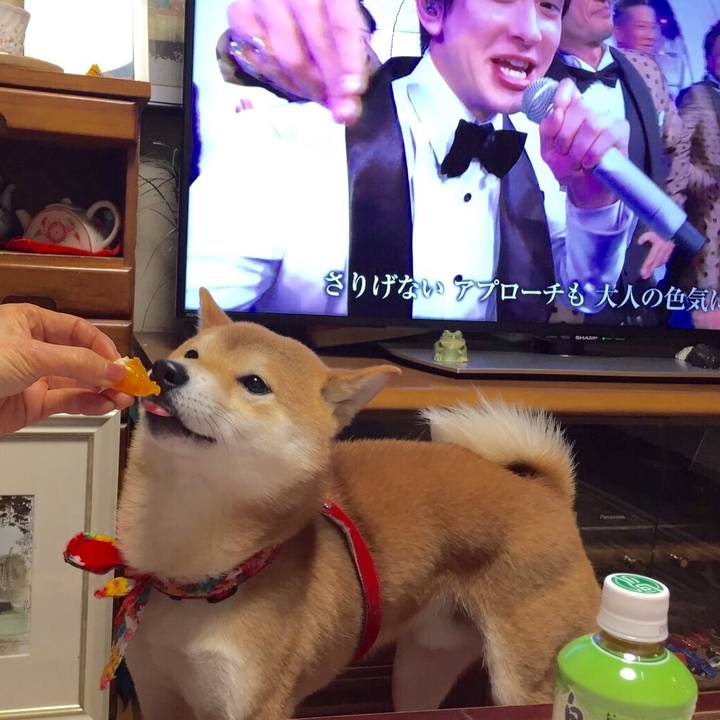 8ff58ce7 05de 4167 b202 014b48b488a1