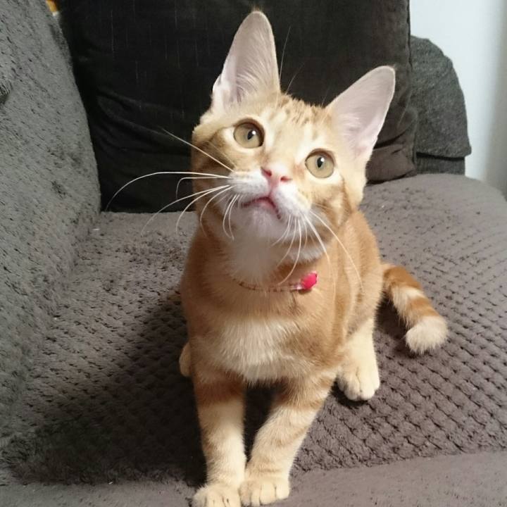 8ff5cf7c c5ee 4dcc 8ac5 4fbd0f46ef5f