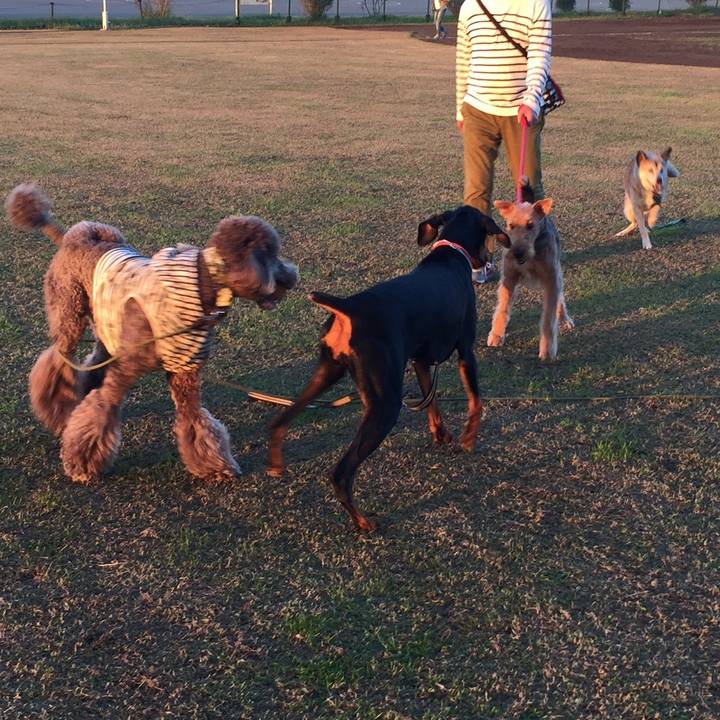 8ff69781 de7d 44a3 9227 7c6085391380