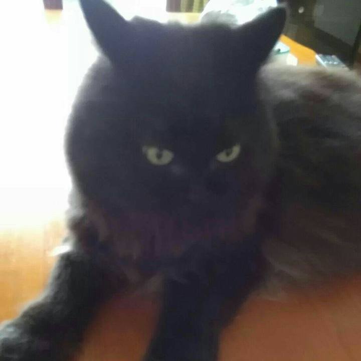 8ff6a31d 71d2 46a7 ab60 632d3c628cc4