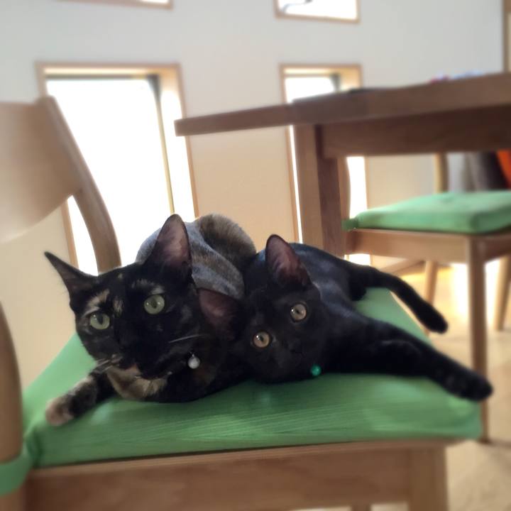 8ff71ba3 8675 40f3 af46 6a135d194c22