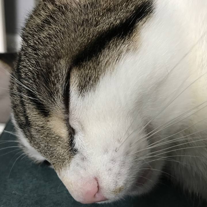 8ff72b07 9c5d 4906 a810 74ac117082c9