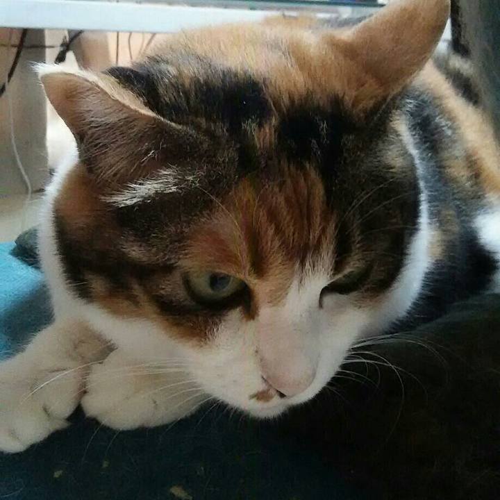 8ff7a1f0 3807 483e 92dd d326fddef8d4