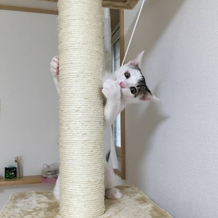 8ff7fec8 5939 4398 8ea2 eeb100d59662