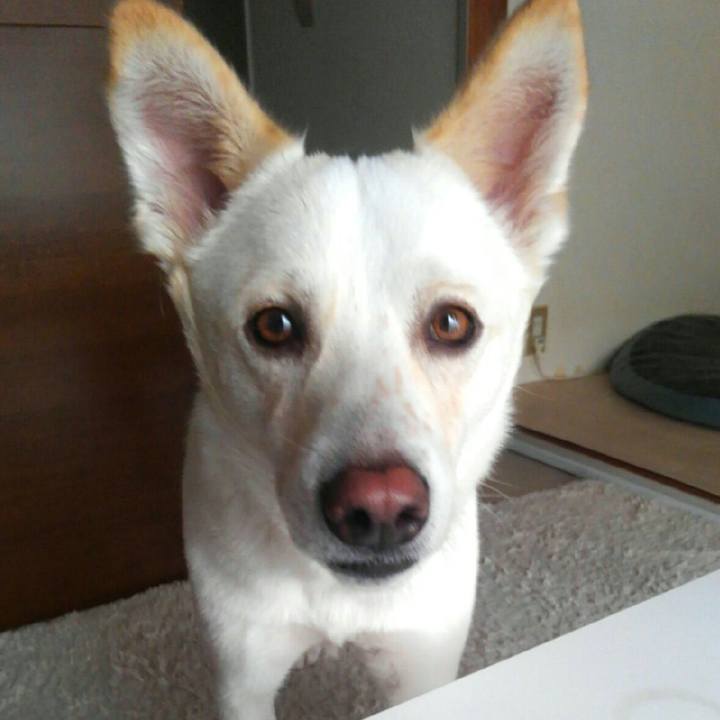 8ff83dcf d003 4217 8c98 79d5a5779d63