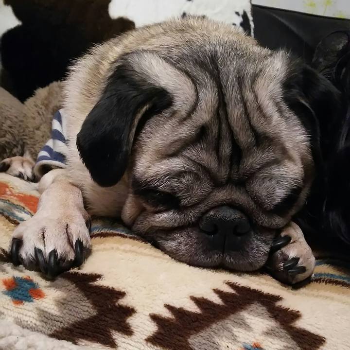 8ff87ec0 9775 49fa 802c 412e82098c06