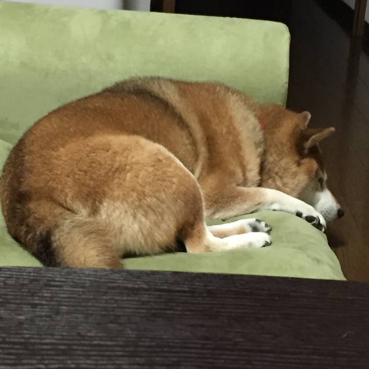 8ff9a622 f9e7 4efe 8426 2aae9f8392bf