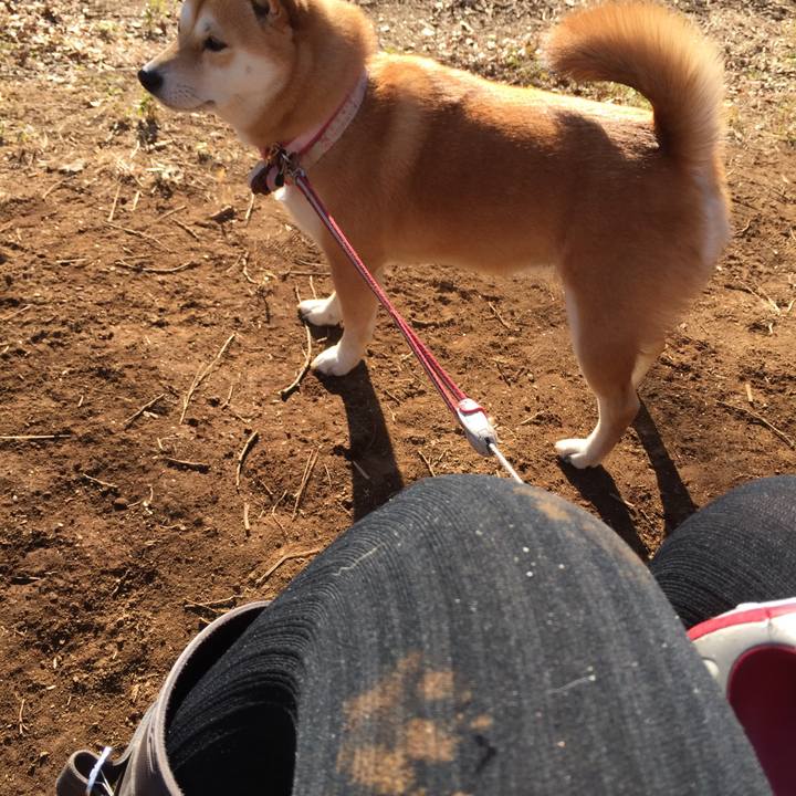 8ff9c82a 3a3b 4b81 bee4 b48daf1e9eb2