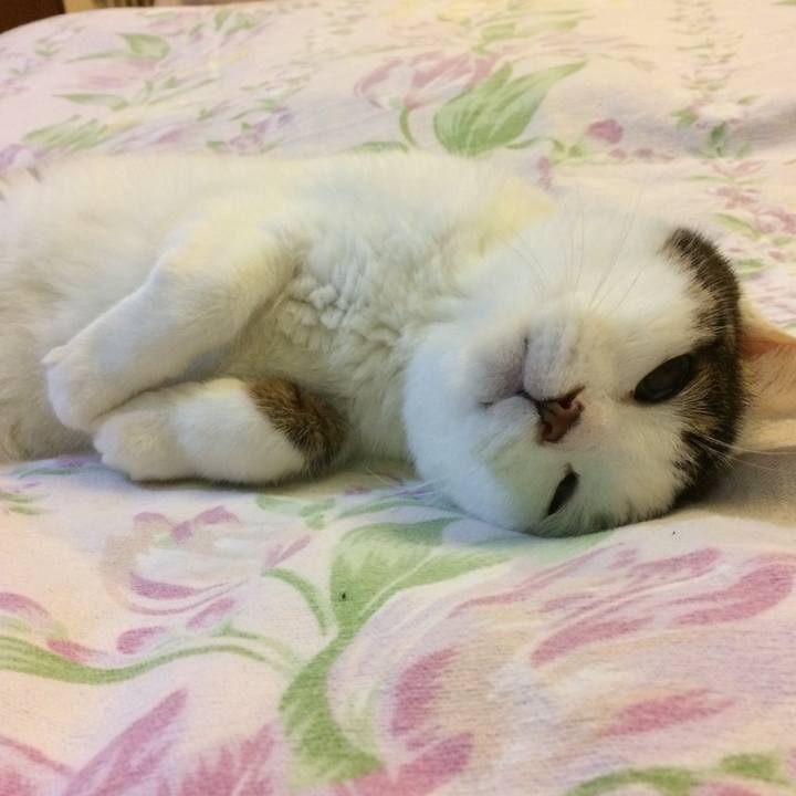 8ffa2a8c a843 4437 9101 2d30d9a3350e