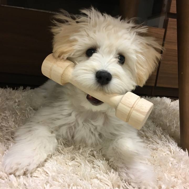 8ffa874a e5b8 4a5a 8c00 d03b53a128d4