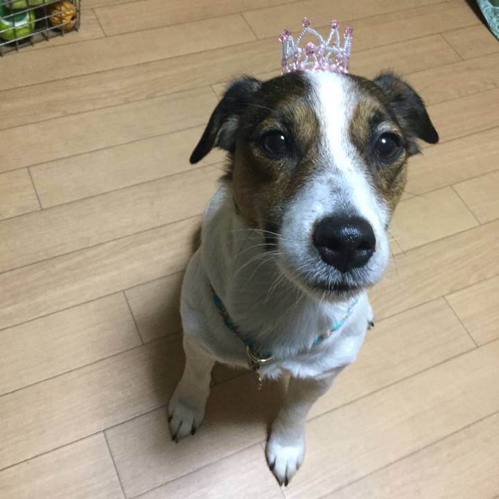 8ffb01fc d1de 4ffd 8591 8d290a189f47