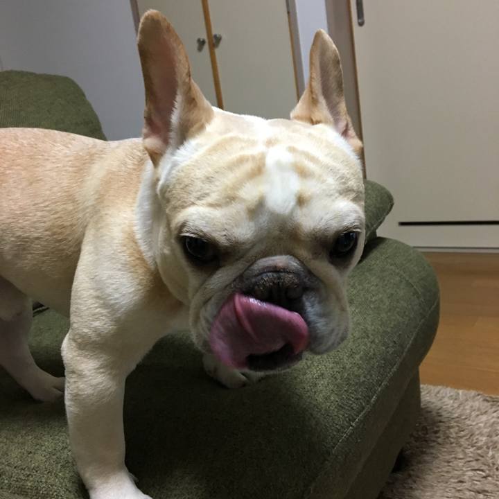 8ffb47d9 4629 447e 8b8e 8db39b081d51